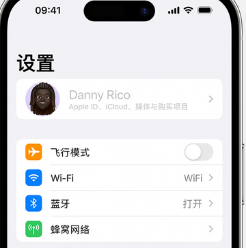 长岛appleID维修服务iPhone设置中Apple ID显示为灰色无法使用 