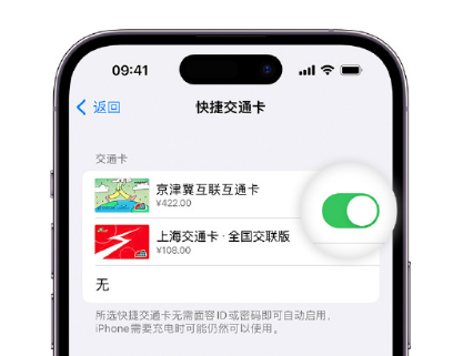 长岛apple维修点分享iPhone上更换Apple Pay快捷交通卡手绘卡面 