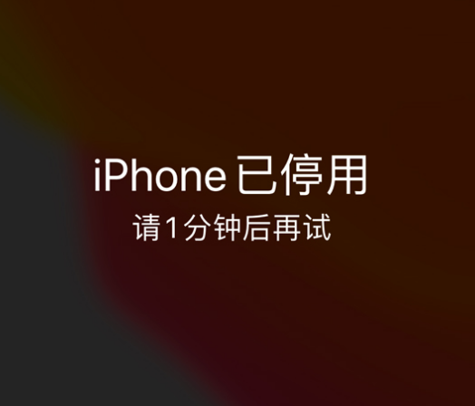 长岛苹果手机维修分享:iPhone 显示“不可用”或“已停用”怎么办？还能保留数据吗？ 