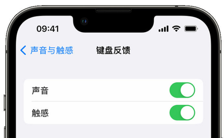 长岛苹果手机维修分享iPhone 14触感键盘使用方法 