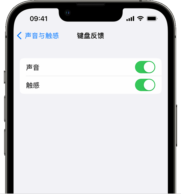 长岛苹果14维修店分享如何在 iPhone 14 机型中使用触感键盘 