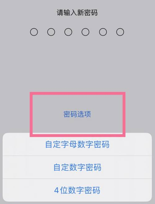 长岛苹果14维修分享iPhone 14plus设置密码的方法 