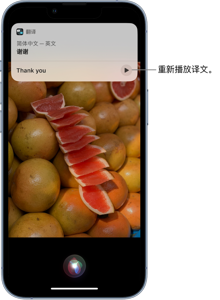 长岛苹果14维修分享 iPhone 14 机型中使用 Siri：了解 Siri 能帮你做什么 