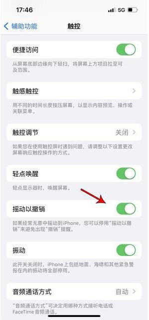 长岛苹果手机维修分享iPhone手机如何设置摇一摇删除文字 