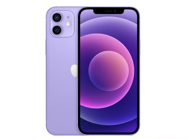 长岛苹果手机维修分享现阶段要不要入手紫色版iPhone12 