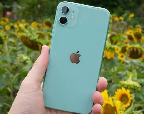 长岛苹果维修点分享iPhone 11锁屏密码认知与使用科普 