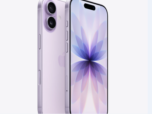 长岛苹果维修点分享iPhone 17锁屏密码使用参考 